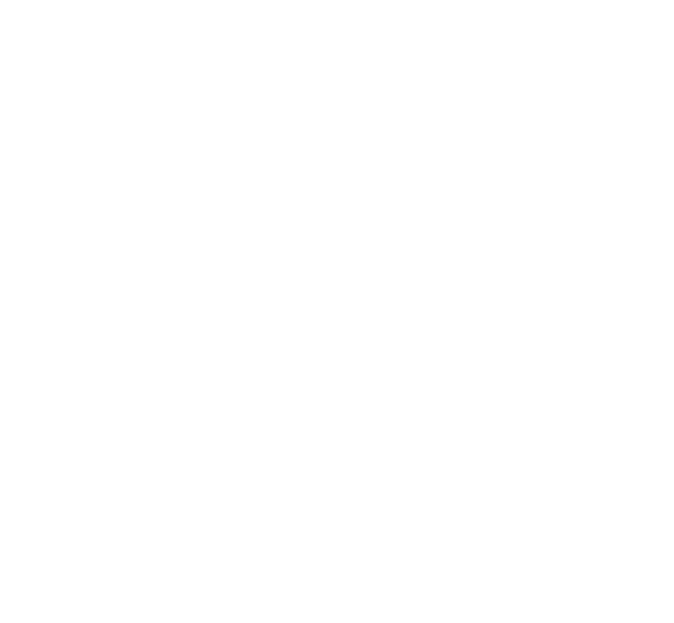 VERKS Logo